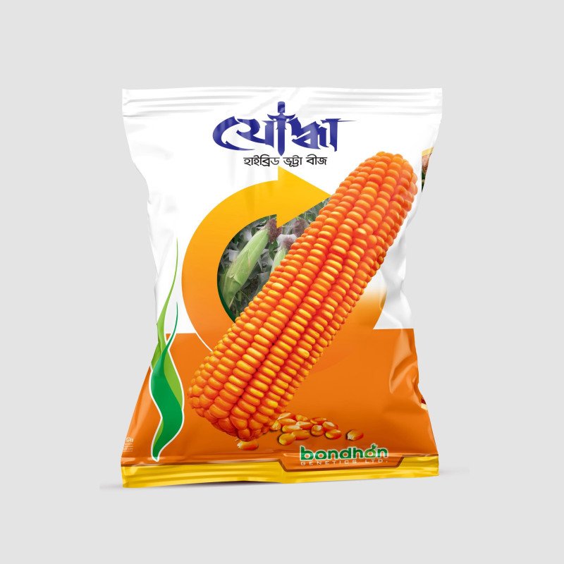 F1 Hybrid Maize Joddha - উচ্চফলনশীল হাইব্রিড ভুট্টা বীজ 'যোদ্ধা' (বাম্পার ফলনের নিশ্চয়তা)