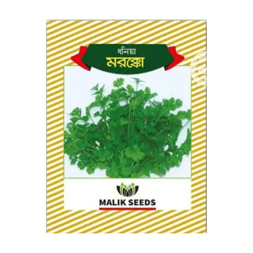 Morocco Hybrid Coriander Seeds - মরোক্ক হাইব্রিড ধনিয়া বীজ (High Aroma & Fast Growing)