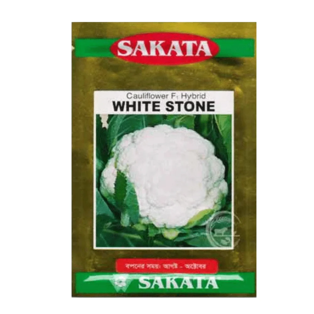 White Stone F1 Hybrid Cauliflower Seeds - হোয়াইট স্টোন হাইব্রিড ফুলকপি বীজ (Snow White & Compact Head)