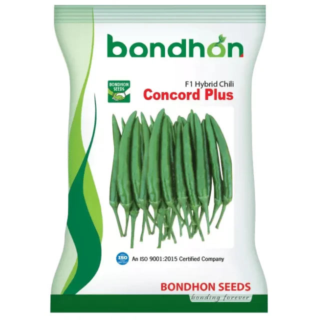 Concord Plus F1 Hybrid Chili Seed - কনকর্ড প্লাস হাইব্রিড মরিচ বীজ (Original Intake)