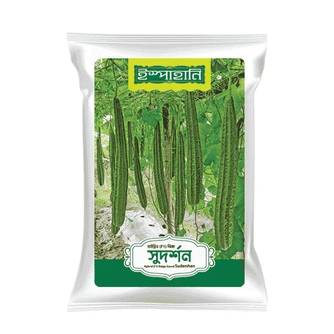 Sudarshan F1 Hybrid Ridge Gourd Seeds - সুদর্শন হাইব্রিড ঝিঙ্গা বীজ (Attractive & High Yield)