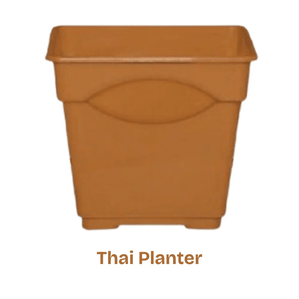Premium Thai Design Flower Planter - আধুনিক ও নান্দনিক থাই স্টাইল ফুলের টব
