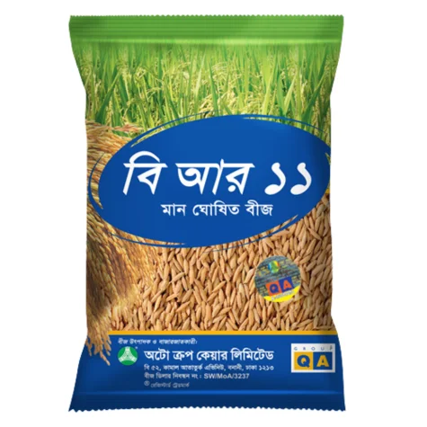 High Yield BR-11 Rice Seeds (Mukta) - উচ্চফলনশীল আমন ধান বীজ বিআর-১১ (মুক্তা)