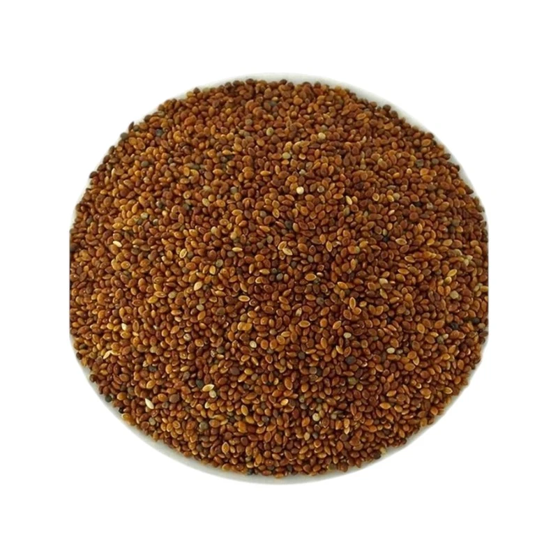Red Millet For Bird Food | পাখির পুষ্টিকর খাদ্য