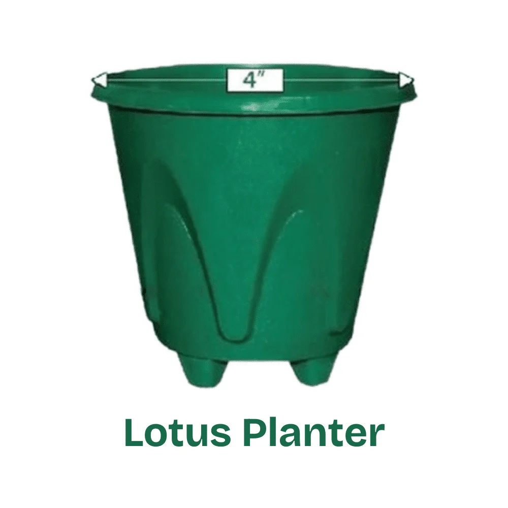 Premium Lotus Design Flower Pot - আধুনিক লোটাস প্লান্টার (নান্দনিক ডিজাইনের ফুলের টব)