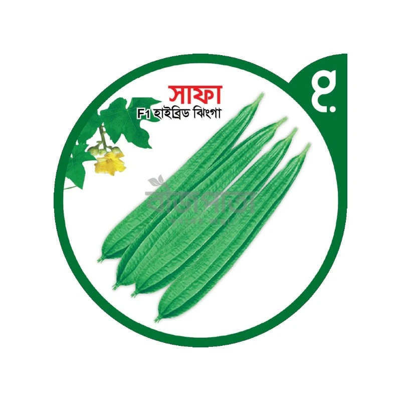 সাফা এফ১-হাইব্রিড ঝিঙা বীজ|বীজপাতা|Safa 1 F1-Hybrid Luffa Seed|Bizpata