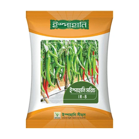 F1 Hybrid Chili Seed IR 8 (আইআর ৮) – উচ্চ ফলনশীল ঝাল মরিচ বীজ | Agrovally