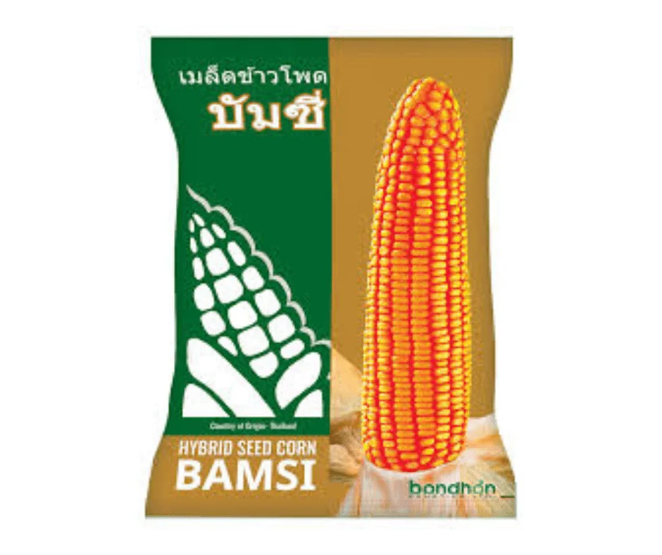 F1 Hybrid Maize Bamsi - বাম্পার ফলনের জন্য উচ্চফলনশীল হাইব্রিড ভুট্টা বামসি বীজ