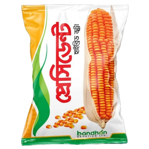 High Yield F1 Hybrid Maize - President (উচ্চফলনশীল হাইব্রিড ভুট্টা প্রেসিডেন্ট বীজ)