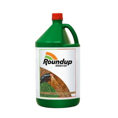 ROUNDUP (রাউন্ড আপ)