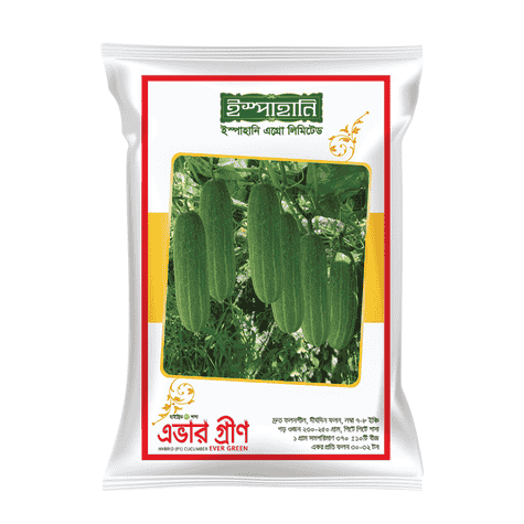 F1 Hybrid Cucumber Seed Ever Green (এভার গ্রীণ শসা বীজ) | High Yield Cucumber Seeds BD