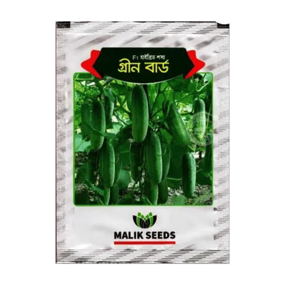 F1 Hybrid Cucumber Seeds Green Bird (গ্রীণ বার্ড শসার বীজ) | High Yield Cucumber Seeds BD