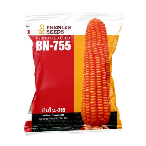 F1 Hybrid Maize BN-755 Seeds - উচ্চফলনশীল হাইব্রিড ভূট্টা বীজ বিএন-৭৫৫