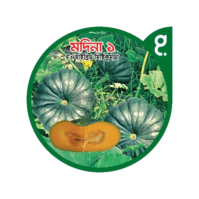 মদিনা ১-হাইব্রিড মিষ্টিকুমড়া বীজ|বীজপাতা|Madina 1-Pumpkin Seed|Bizpata