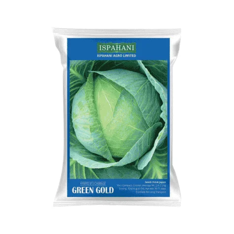 Green Gold F1 Hybrid Cabbage Seeds - গ্রীন গোল্ড হাইব্রিড বাঁধাকপি বীজ (Compact & Heavy Weight)