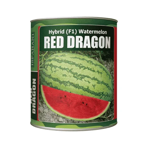 F1 Hybrid Watermelon Red Dragon Seeds - উচ্চফলনশীল ও মিষ্টি হাইব্রিড তরমুজ রেড ড্রাগন