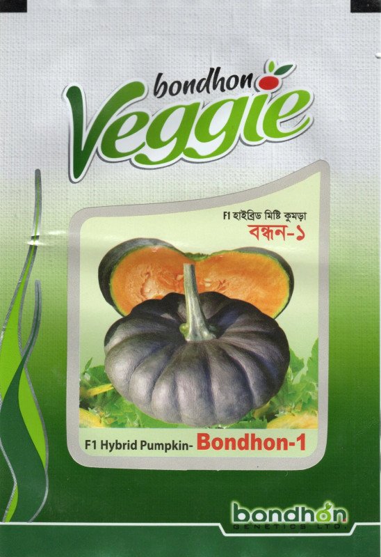 Bondhon-1 F1 Hybrid Pumpkin Seed - বন্ধন-১ হাইব্রিড মিষ্টি কুমড়া বীজ (High Yielding)