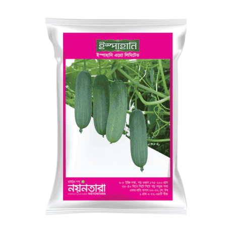 F1 Hybrid Cucumber Seed Nayontara (নয়নতারা শসা বীজ) | High Yield Hybrid Cucumber BD