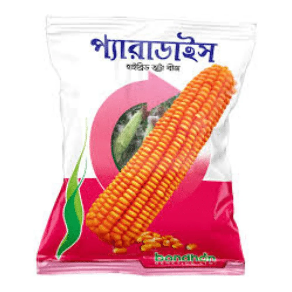 F1 Hybrid Maize Paradise Seeds - উচ্চফলনশীল হাইব্রিড ভুট্টা প্যারাডাইস