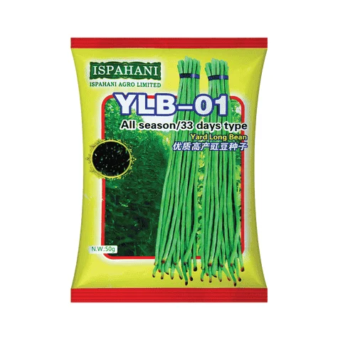 YLB-01 F1 Hybrid Yard Long Bean Seeds - ওয়াইএলবি-০১ হাইব্রিড বরবটি বীজ (Extreme Yield & Dark Green)