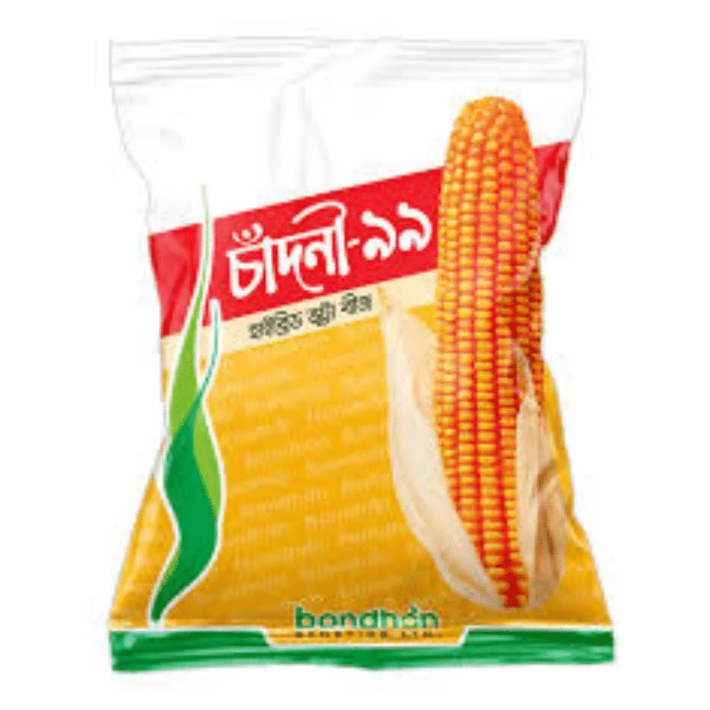 F1 Hybrid Maize Chadni-99 Seeds - উচ্চফলনশীল হাইব্রিড ভুট্টা বীজ চাঁদনী-৯৯
