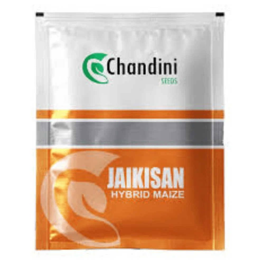 F1 Hybrid Maize JaiKishan - উচ্চফলনশীল হাইব্রিড ভুট্টা জয়কিষাণ (Bondhon Seeds)