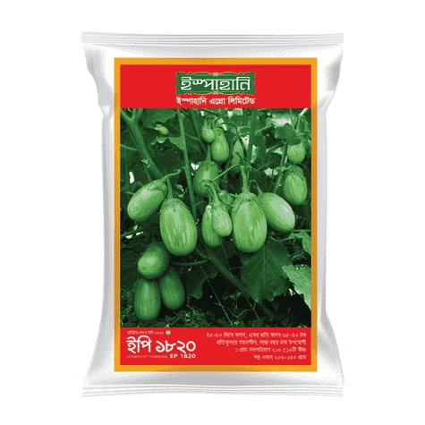 EP 1820 Hybrid Brinjal Seeds - ইপি ১৮২০ হাইব্রিড বেগুন বীজ (High Yielding & Glossy Finish)