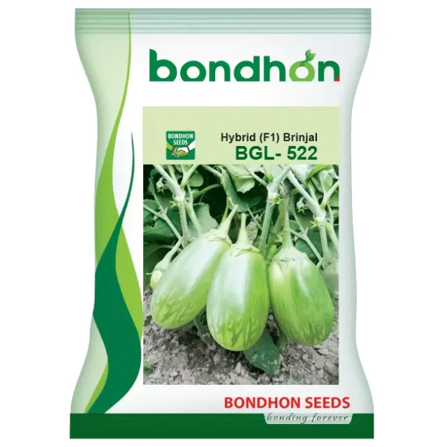 BGL-522 F1 Hybrid Brinjal Seeds - বিজিএল-৫২২ হাইব্রিড বেগুন বীজ (High Yielding)