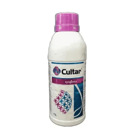 CULTER (কালটার)