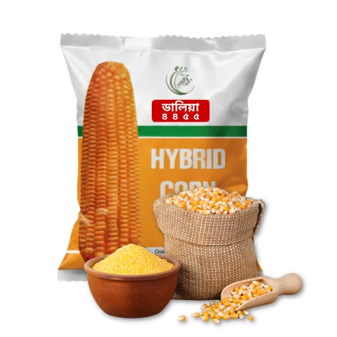 F1 Hybrid Maize Dalia 4455 - উচ্চফলনশীল হাইব্রিড ভুট্টা বীজ ডালিয়া ৪৪৫৫