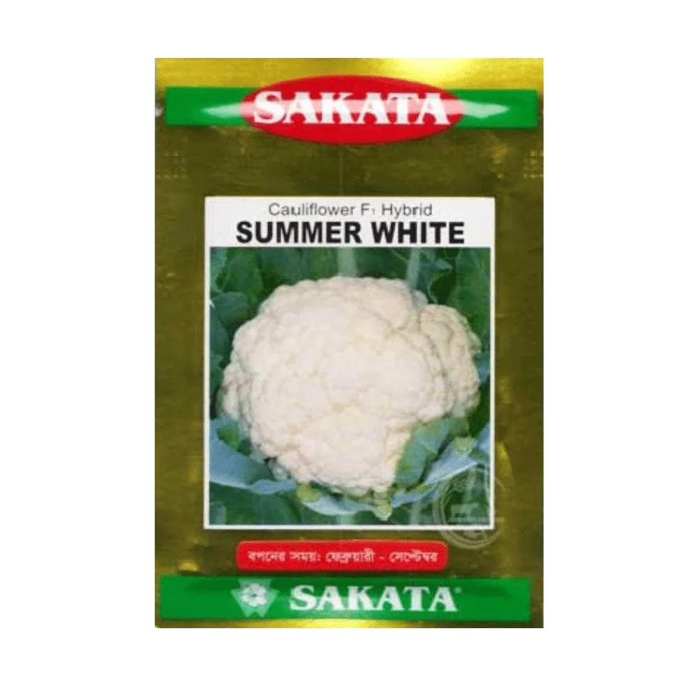 Summer White F1 Hybrid Cauliflower Seeds - সামার হোয়াইট হাইব্রিড ফুলকপি বীজ (Heat Tolerant & Early Variety)