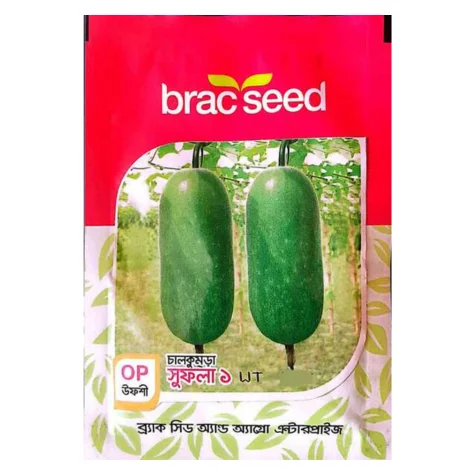 Sufola 1 F1 Hybrid Wax Gourd Seeds - সুফলা ১ হাইব্রিড চাল কুমড়া বীজ (High Yielding & Uniform Size)