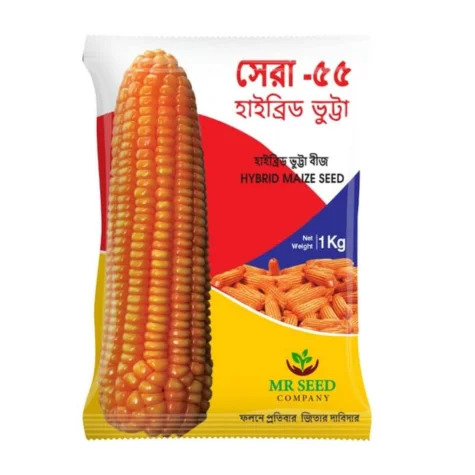 F1 Hybrid Maize Sera 55 - অধিক ফলনশীল হাইব্রিড ভুট্টা বীজ সেরা ৫৫