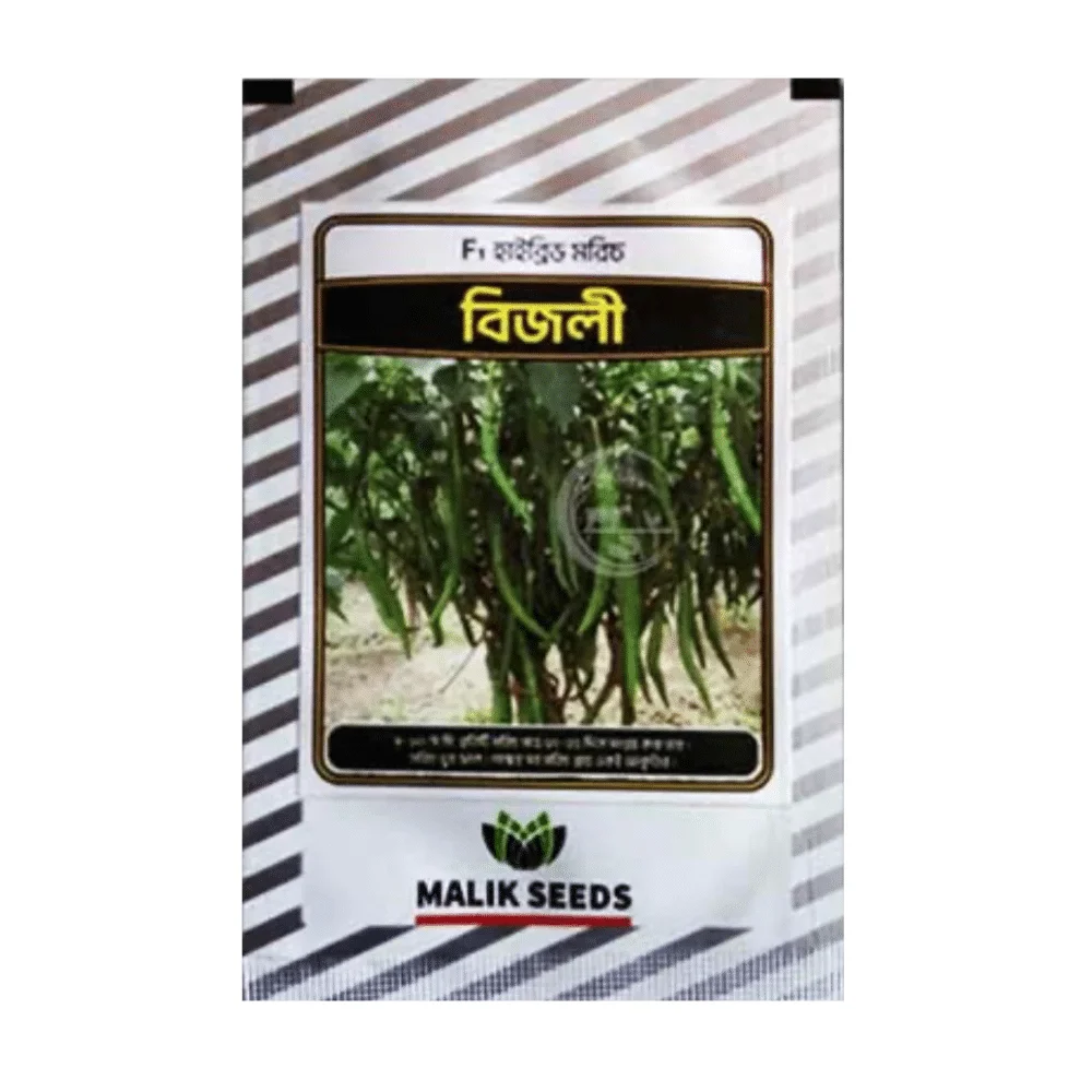Bizli F1 Hybrid Chili Seed - বিজলী হাইব্রিড মরিচ বীজ (Original Intake)