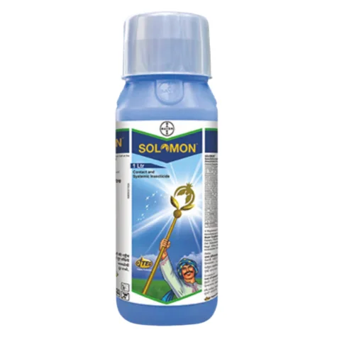 Solomon (সলোমন)