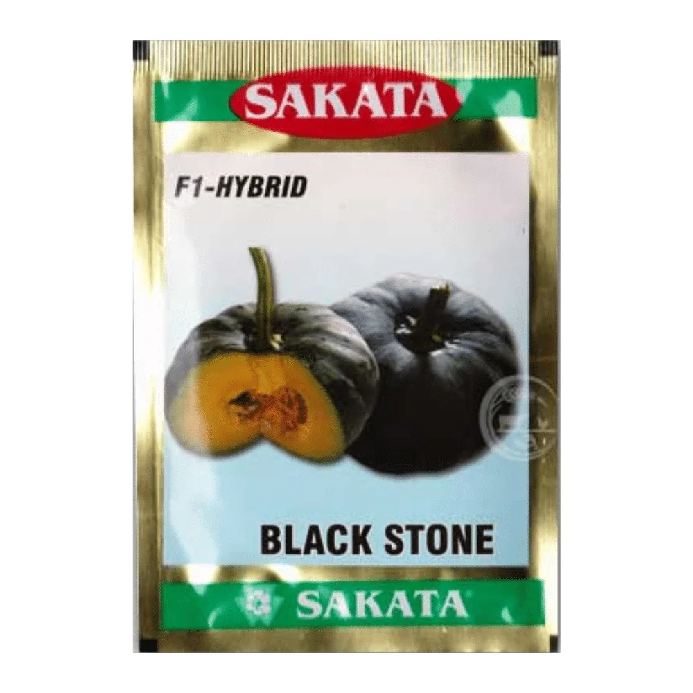 Black Stone F1 Hybrid Pumpkin Seed - ব্লাক স্টোন হাইব্রিড মিষ্টি কুমড়া বীজ (Premium Quality)