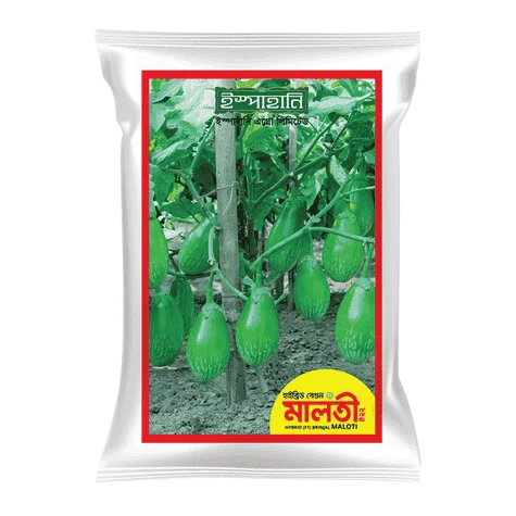 Maloti F1 Hybrid Brinjal Seeds - মালতী হাইব্রিড বেগুন বীজ (High Yielding & Glossy Purple)