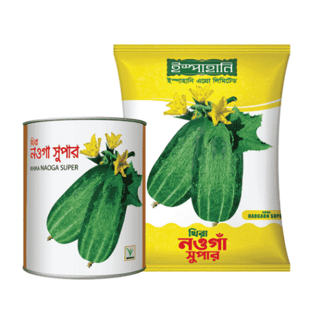 F1 Hybrid Cucumber Seed Nouga Super (নওগাঁ সুপার শসা বীজ) | High Yield Cucumber Seeds BD