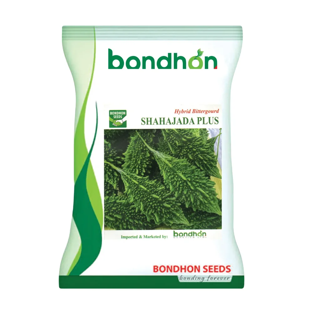 F1 Hybrid Bitter Gourd Shahajada Plus (শাহাজাদা প্লাস করলা বীজ) | High Yield Karela Seeds BD