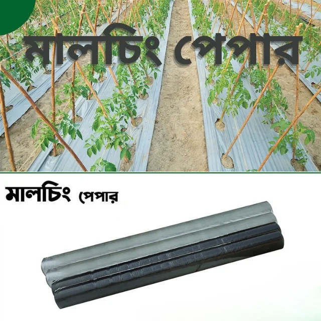 Premium Large Mulching Paper - আধুনিক বাণিজ্যিক চাষাবাদের জন্য উন্নত মানের বড় মালচিং পেপার
