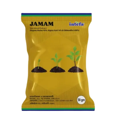 JAMAM (জামাম)