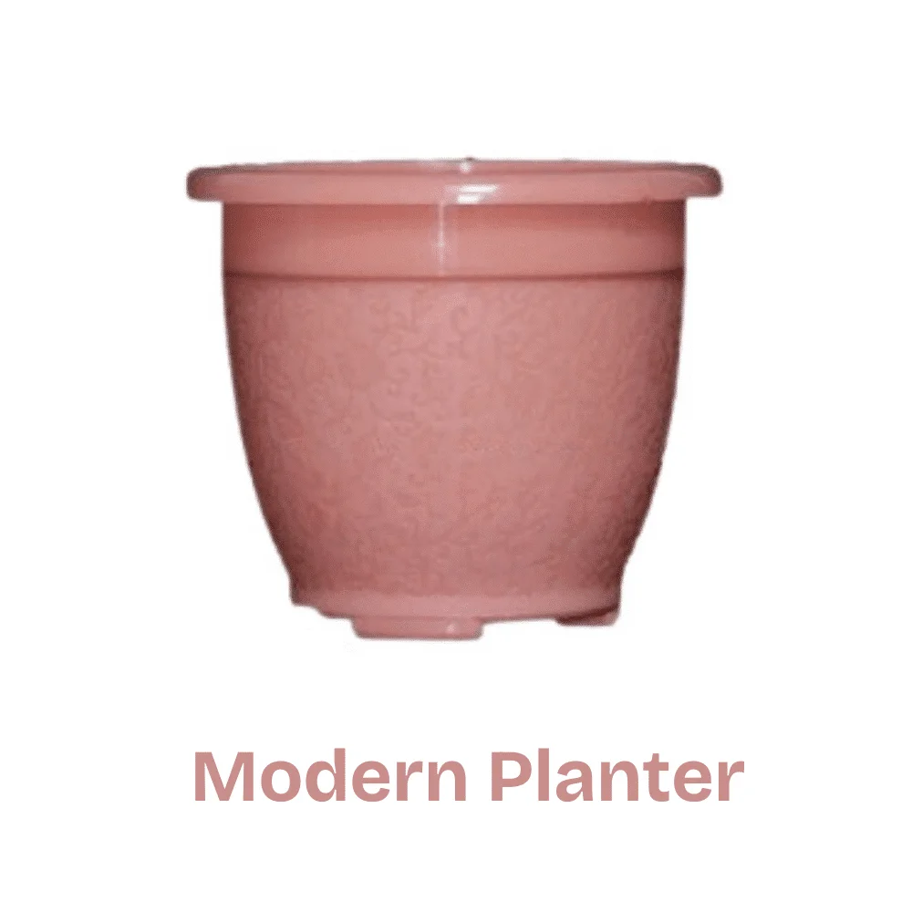 Modern Decorative Flower Planter - ঘর ও বাগানের আভিজাত্য বাড়াতে আধুনিক ডিজাইনের ফুলের টব