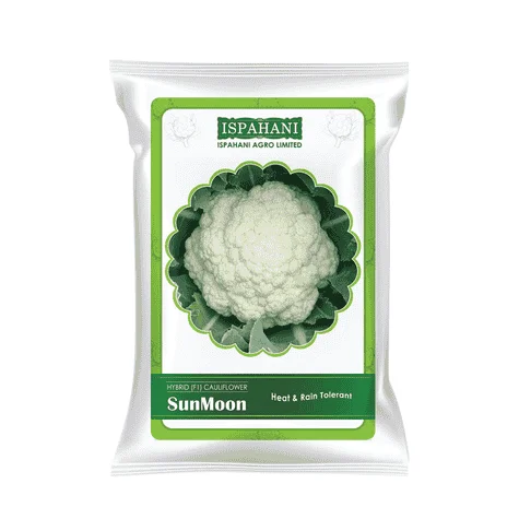 Sun Moon F1 Hybrid Cauliflower Seeds - সান মুন হাইব্রিড ফুলকপি বীজ (Super White & Extra Compact)