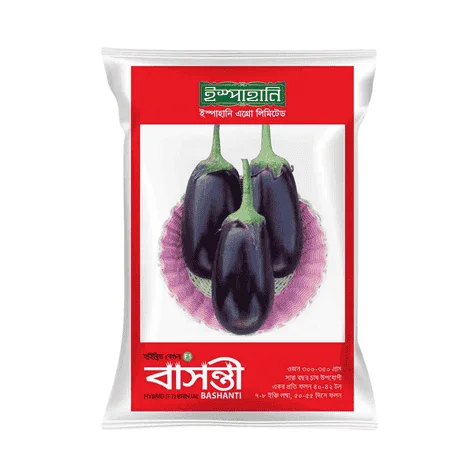 Basonti F1 Hybrid Brinjal Seeds - বাসন্তি হাইব্রিড বেগুন বীজ (High Yielding & Glossy Purple)