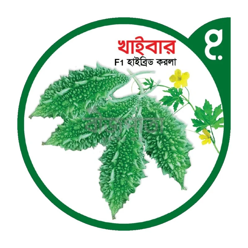 খাইবার এফ১-হাইব্রিড করলা বীজ|বীজপাতা|Khaibar F1-Bitter Gourd Seed|Bizpata