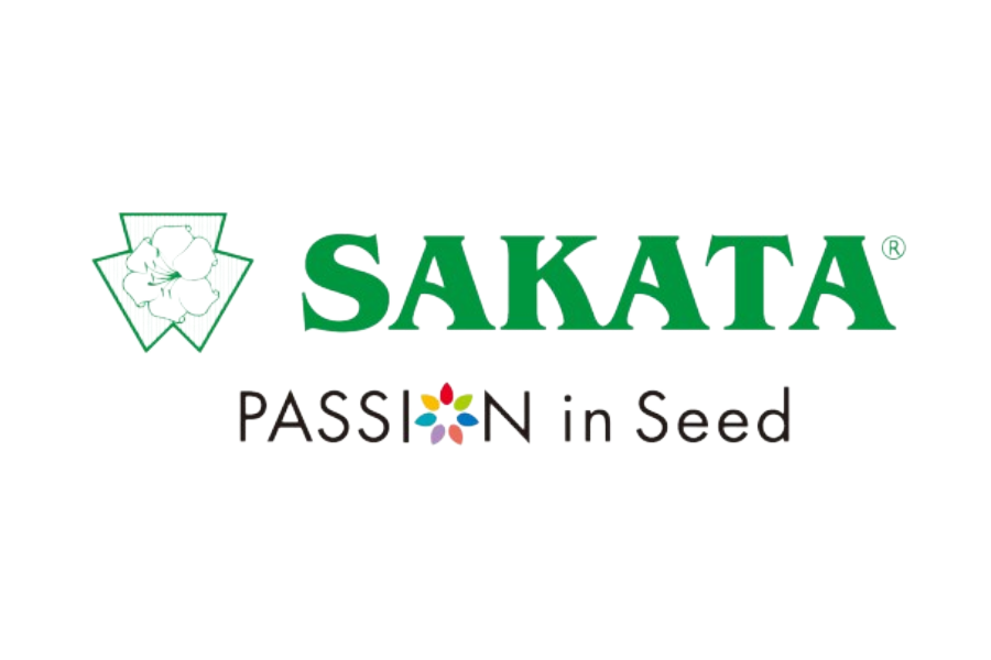 Sakata- (সাকাতা)