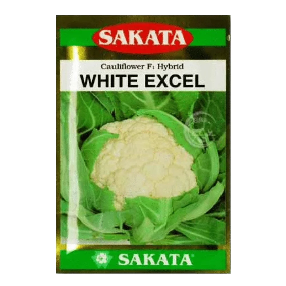 White Excel F1 Hybrid Cauliflower Seeds - হোয়াইট এক্সেল হাইব্রিড ফুলকপি বীজ (Snow White & Heavy Weight)