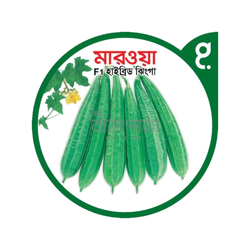 মারওয়া এফ১-হাইব্রিড ঝিঙা বীজ|বীজপাতা|Marwa F1-Hybrid Luffa Seed|Bizpata