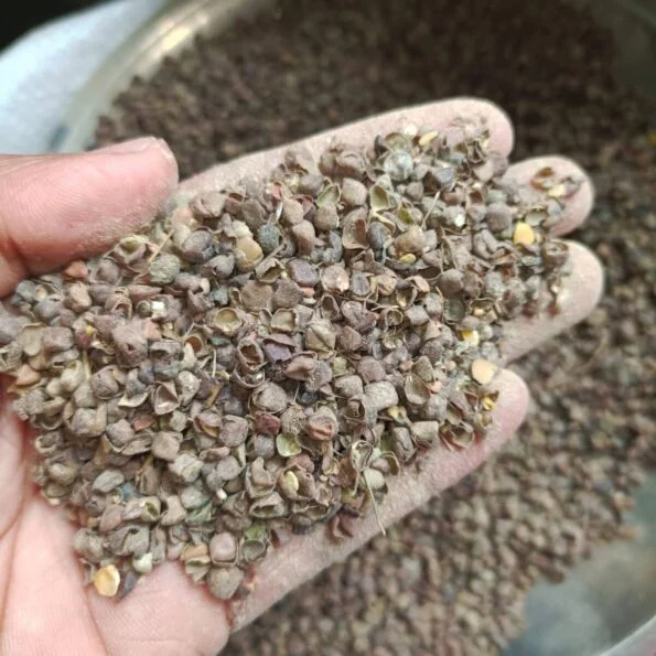 Pure Khesary Husk - গবাদি পশুর জন্য ১০০% বিশুদ্ধ ও পুষ্টিকর খেসারির ভূসি