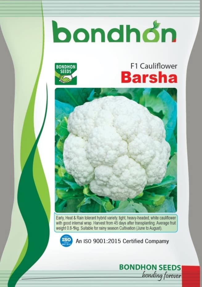Barsha F1 Hybrid Cauliflower Seeds - বর্ষা হাইব্রিড ফুলকপি বীজ (Heat Tolerant & Early Variety)